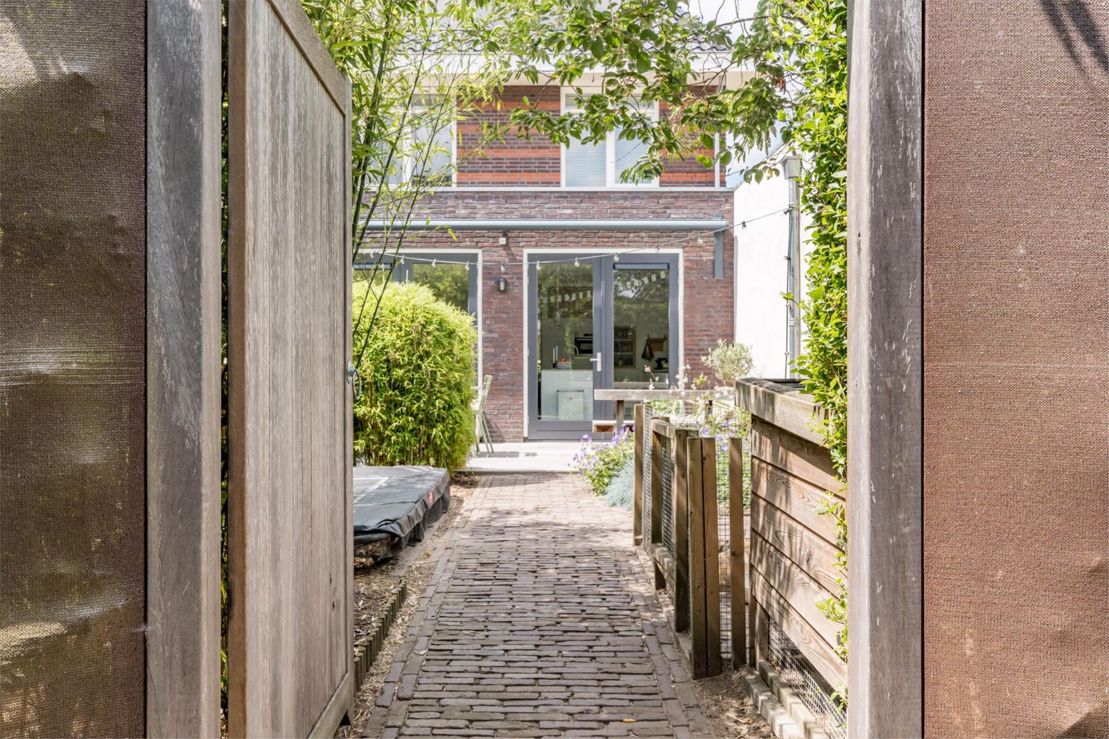 Grote Vuurvlinder 29