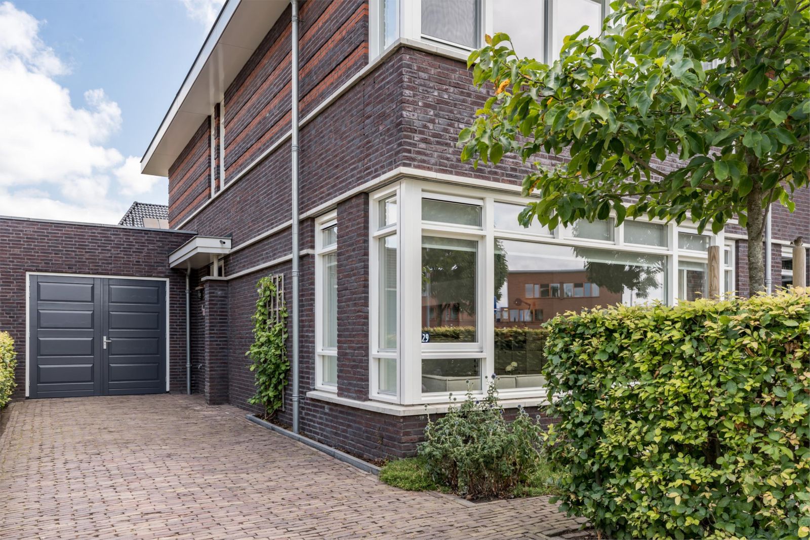 Grote Vuurvlinder 29