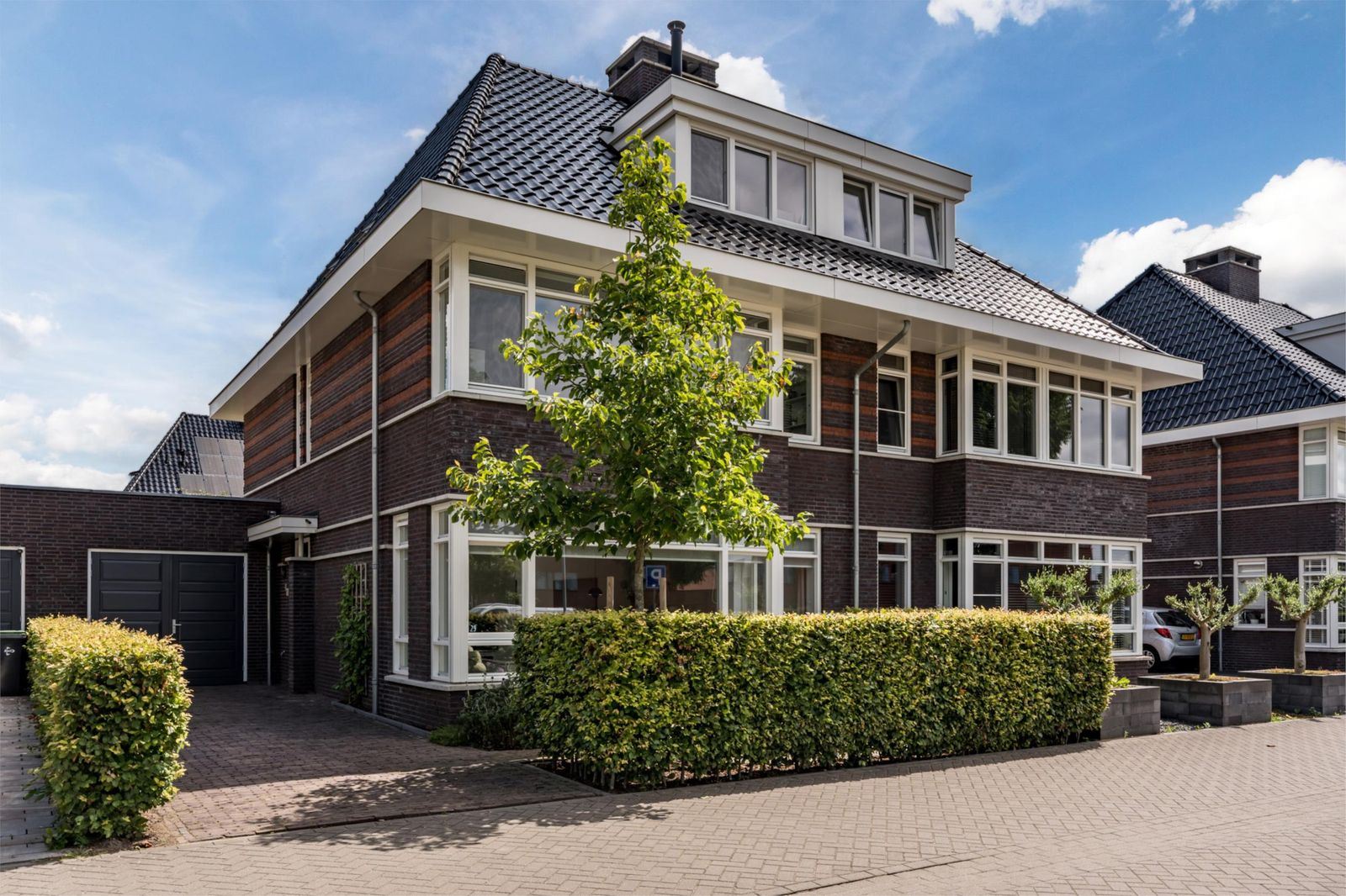 Grote Vuurvlinder 29
