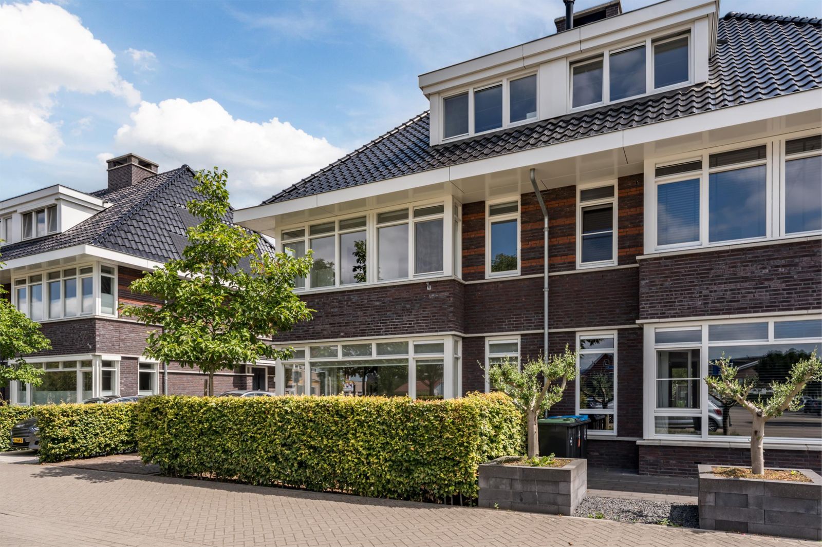 Grote Vuurvlinder 29