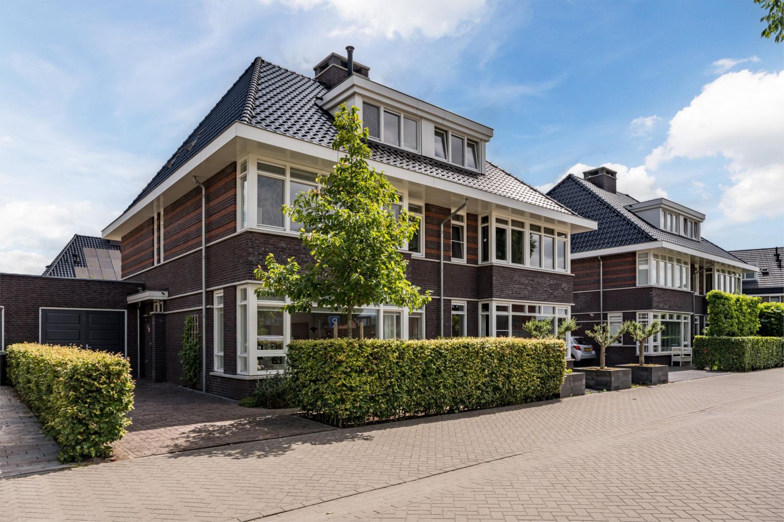 Grote Vuurvlinder 29
