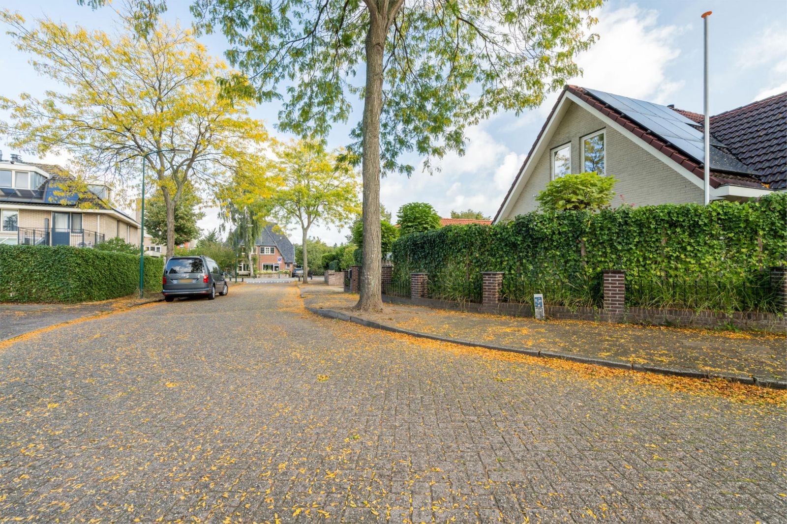Korteweg 3
