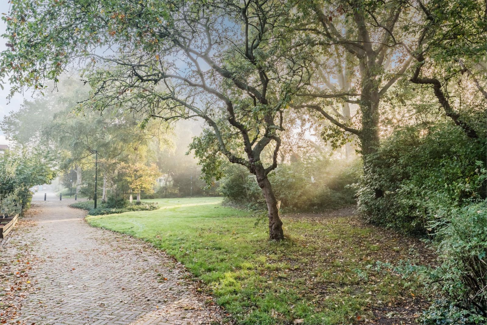 Prins Hendriklaan 60