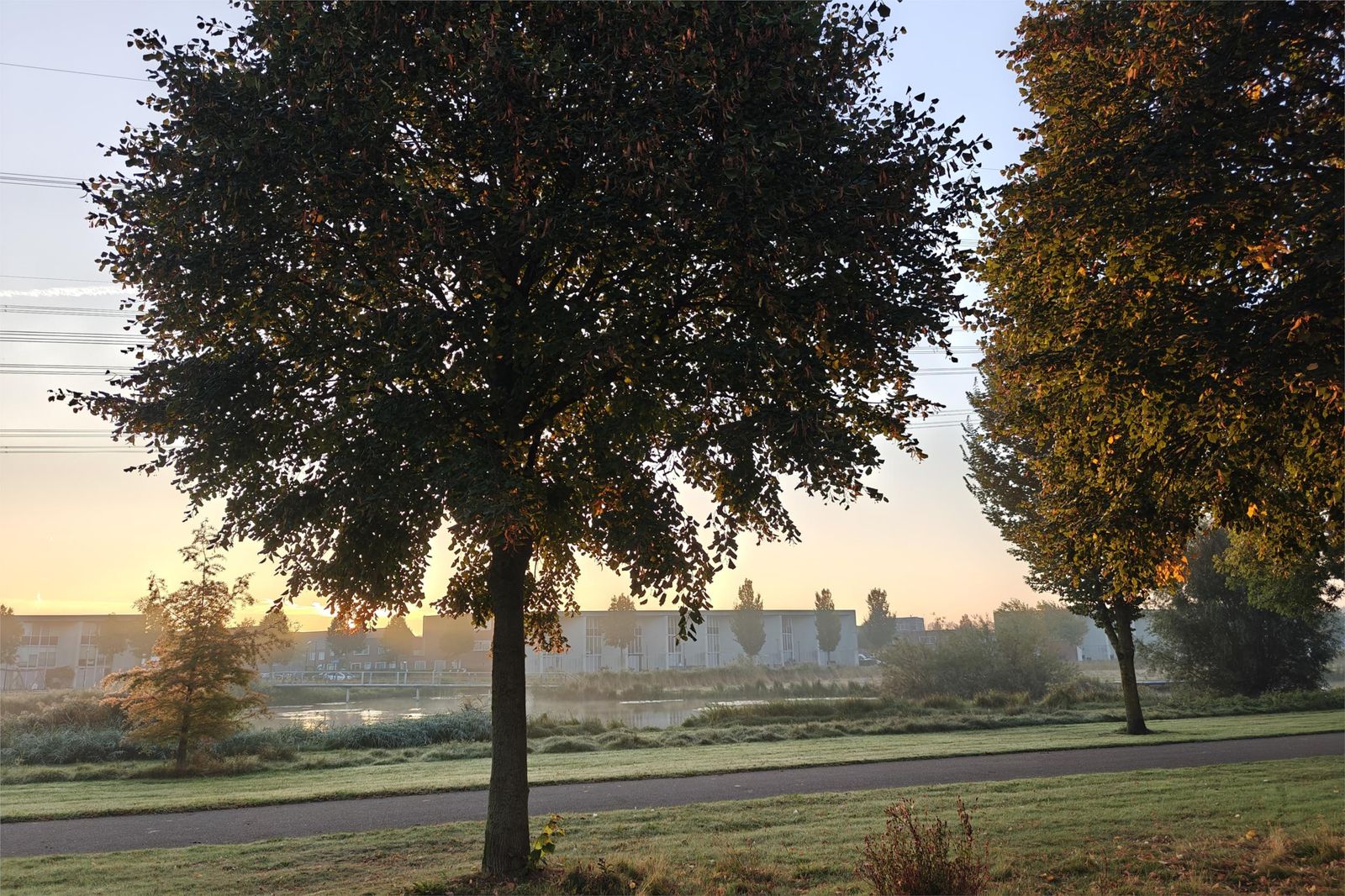 Wim Schuhmacherhof 4