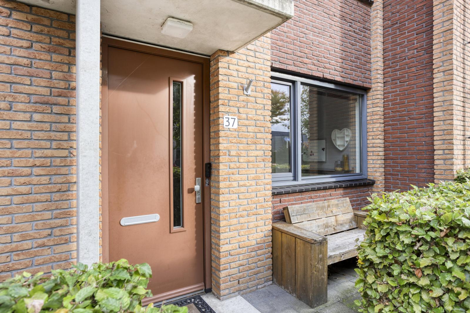 Bornberg 37