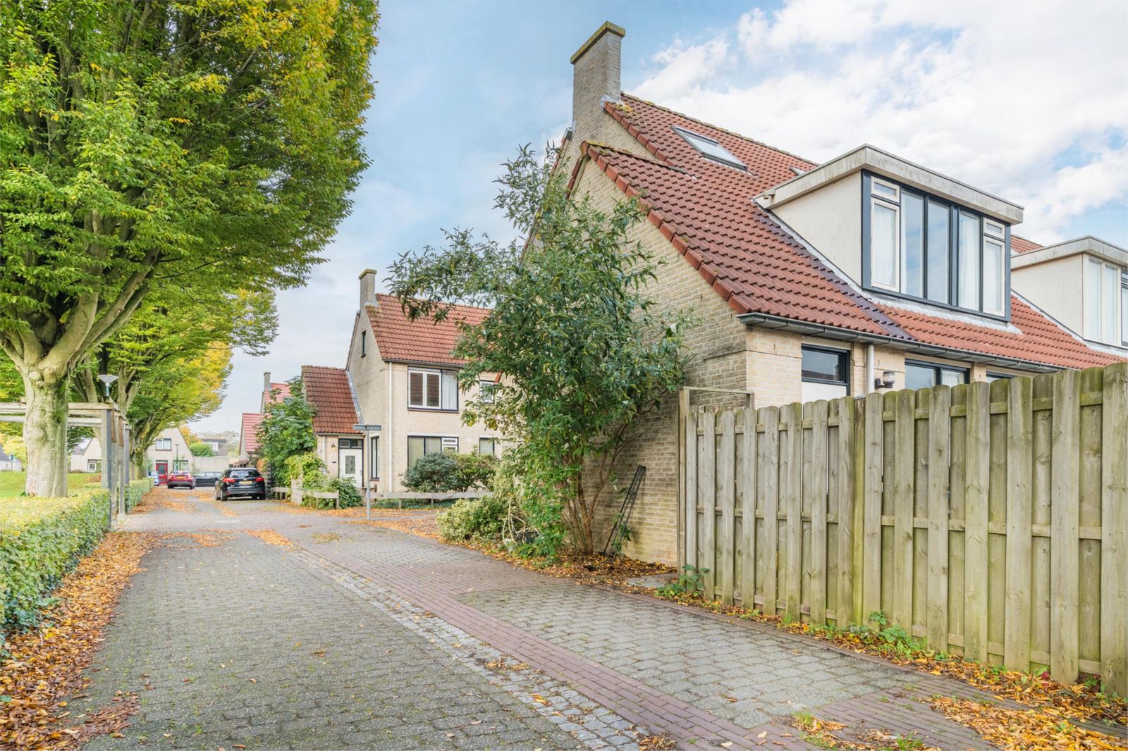 Zwanebloem 2