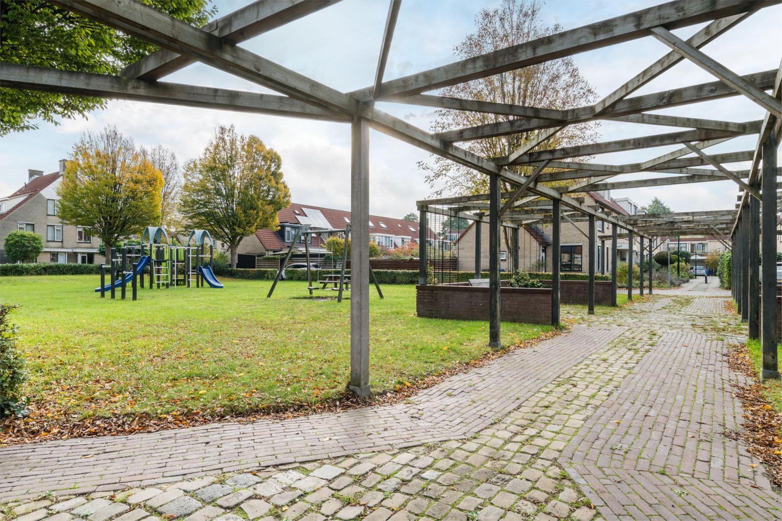 Zwanebloem 2