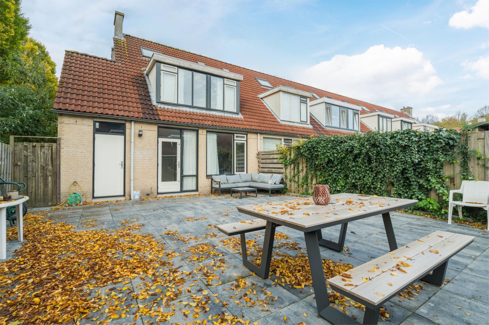 Zwanebloem 2