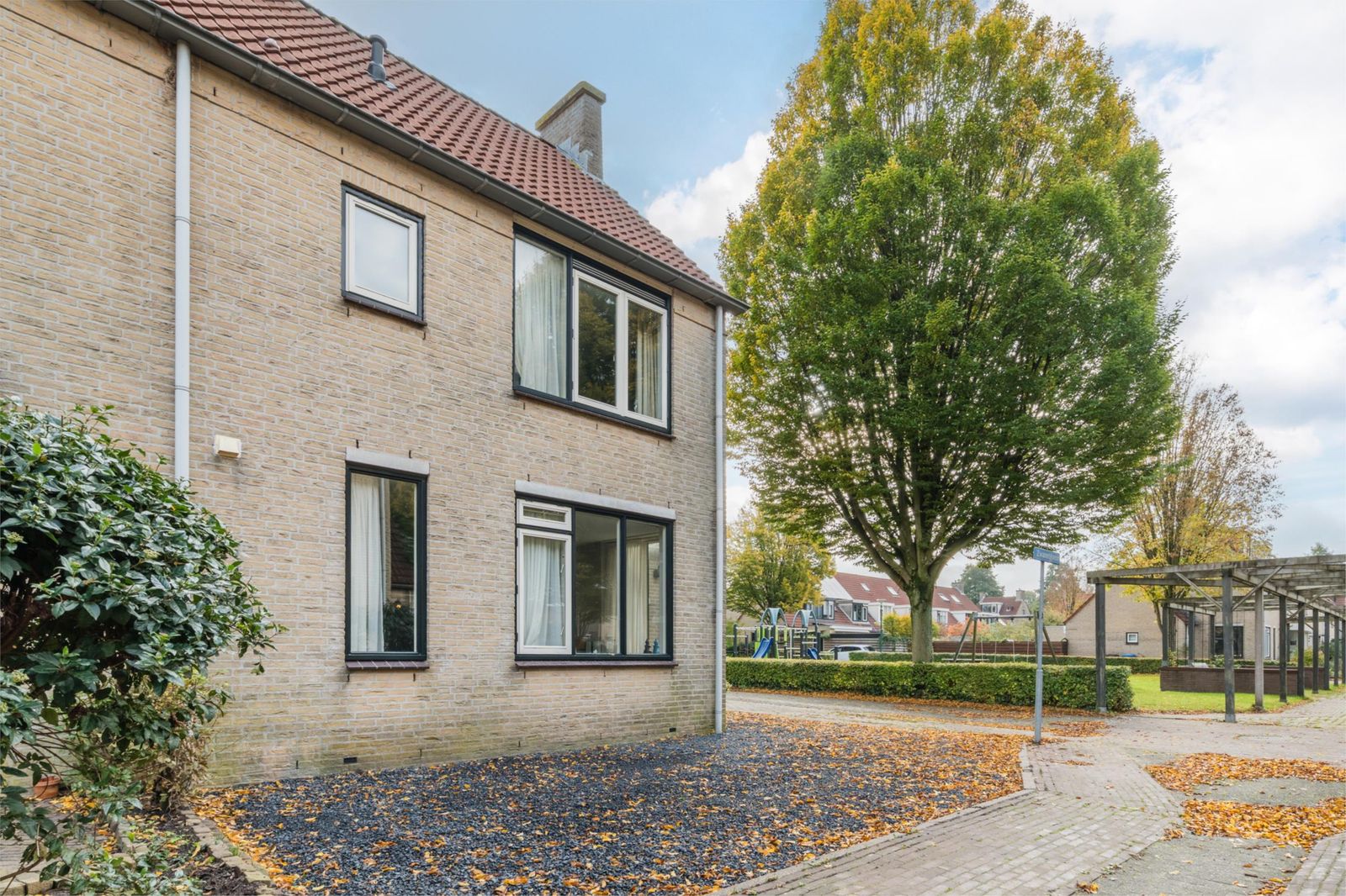 Zwanebloem 2