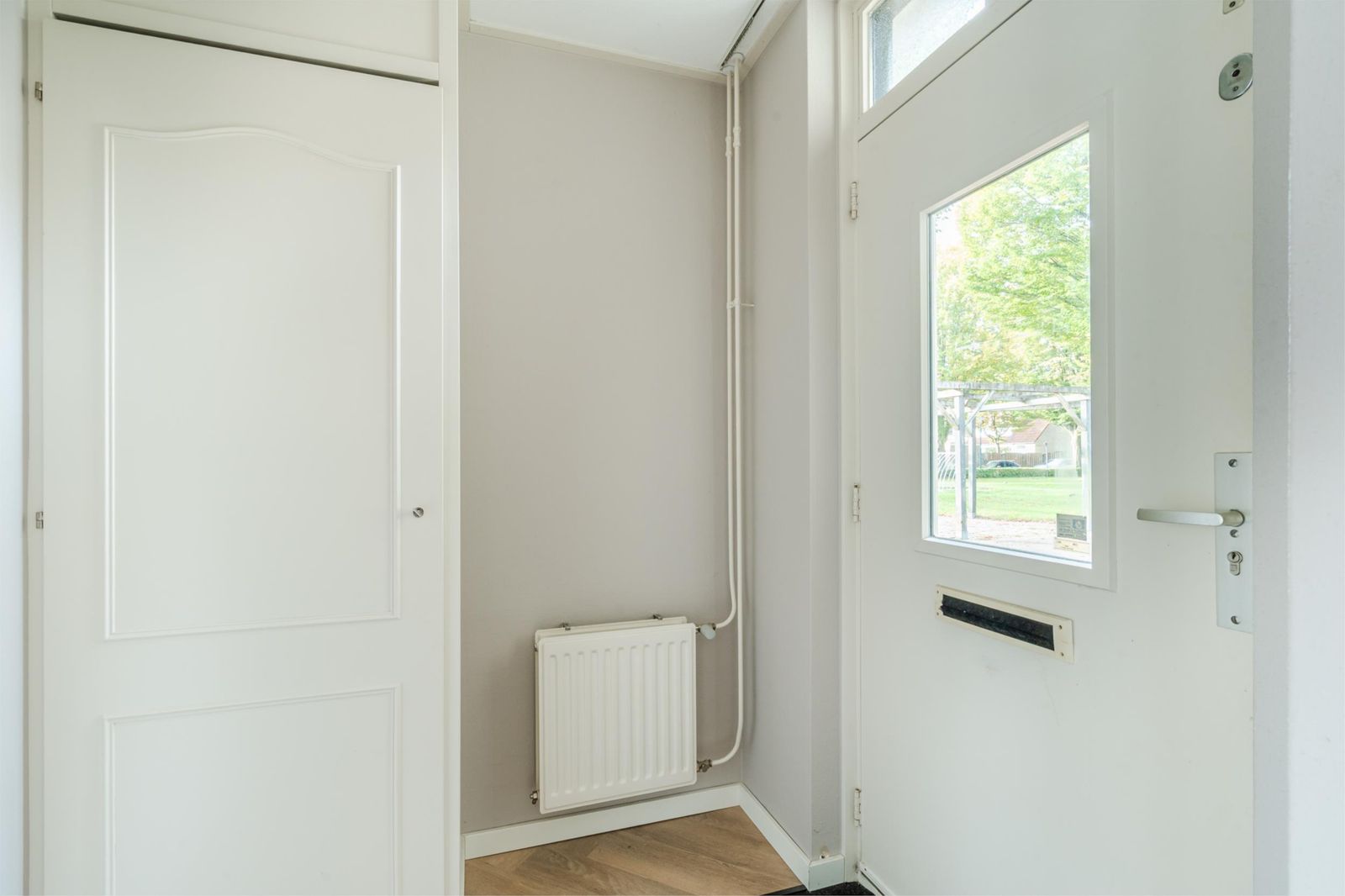 Zwanebloem 2