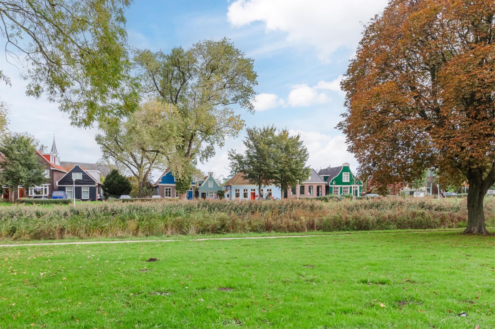 Korenbloemstraat 50