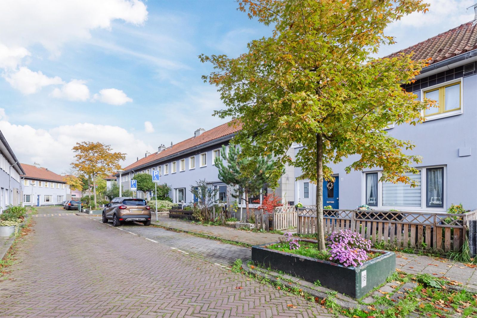 Korenbloemstraat 50