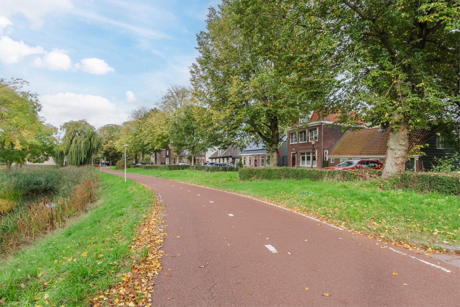 Korenbloemstraat 50