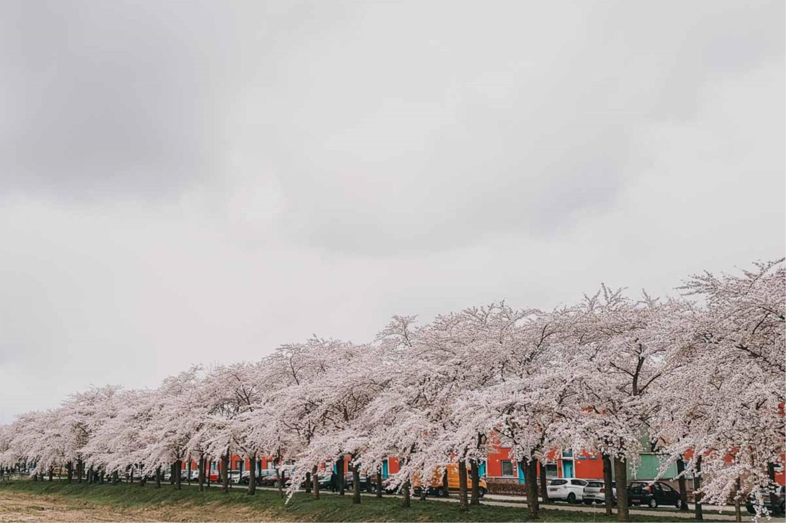 Terracottastraat 106