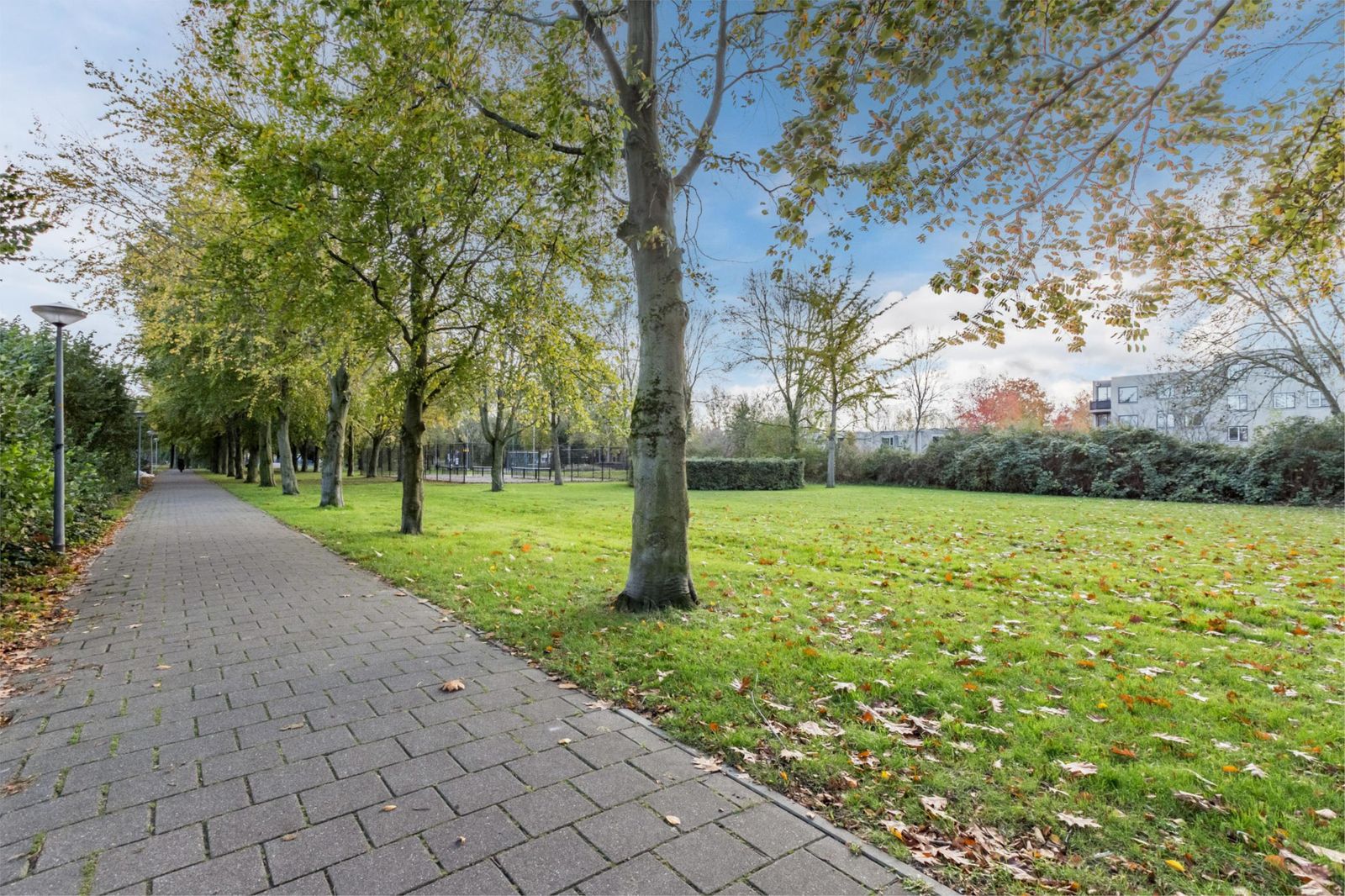 Lelietje-van-Dalenstraat 2