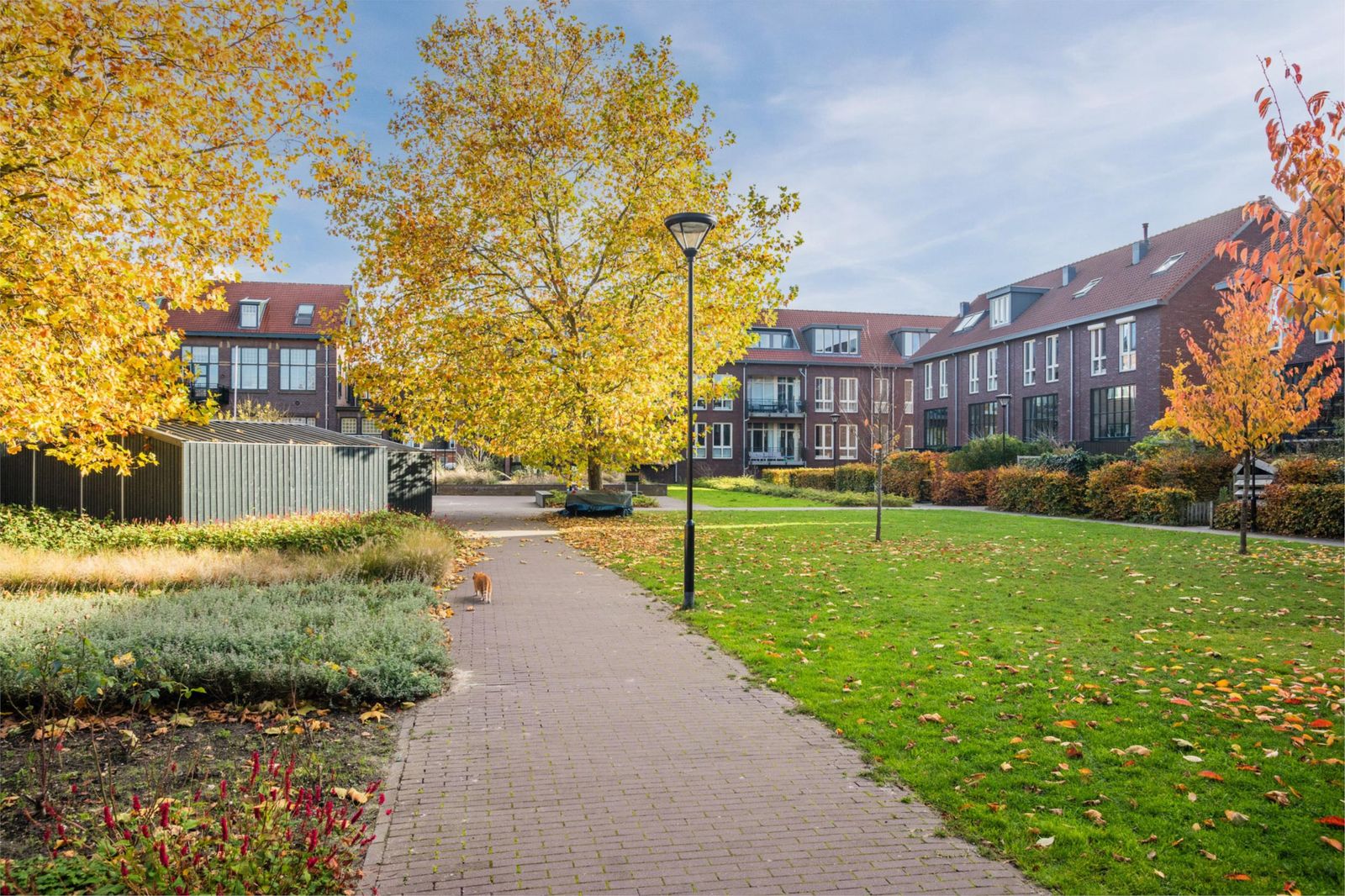 Willem ten Rijnestraat 12