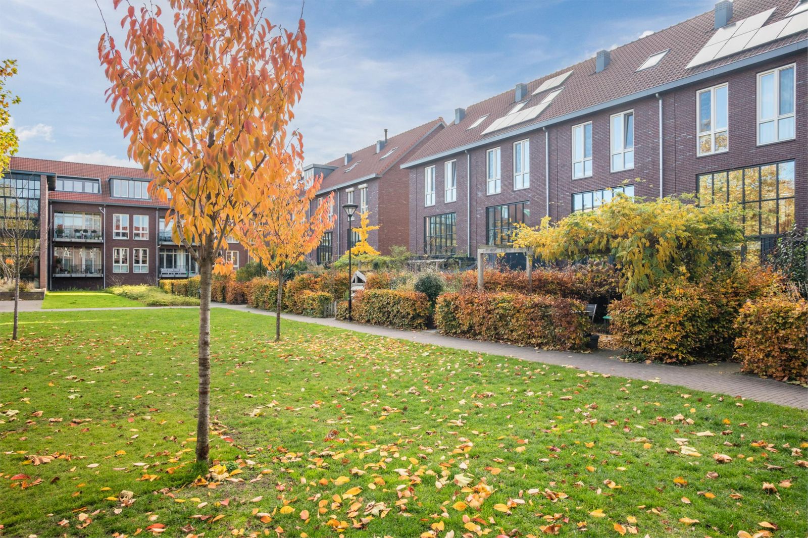 Willem ten Rijnestraat 12