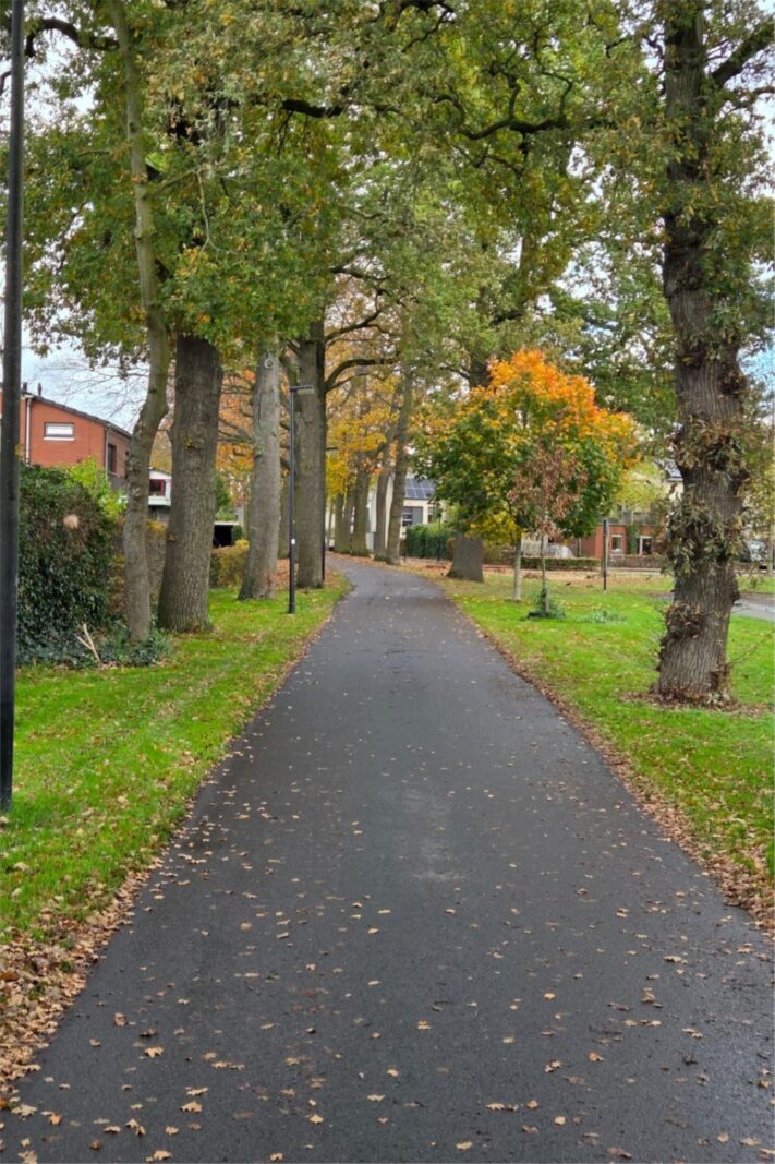 Alexander Voormolenstraat 10