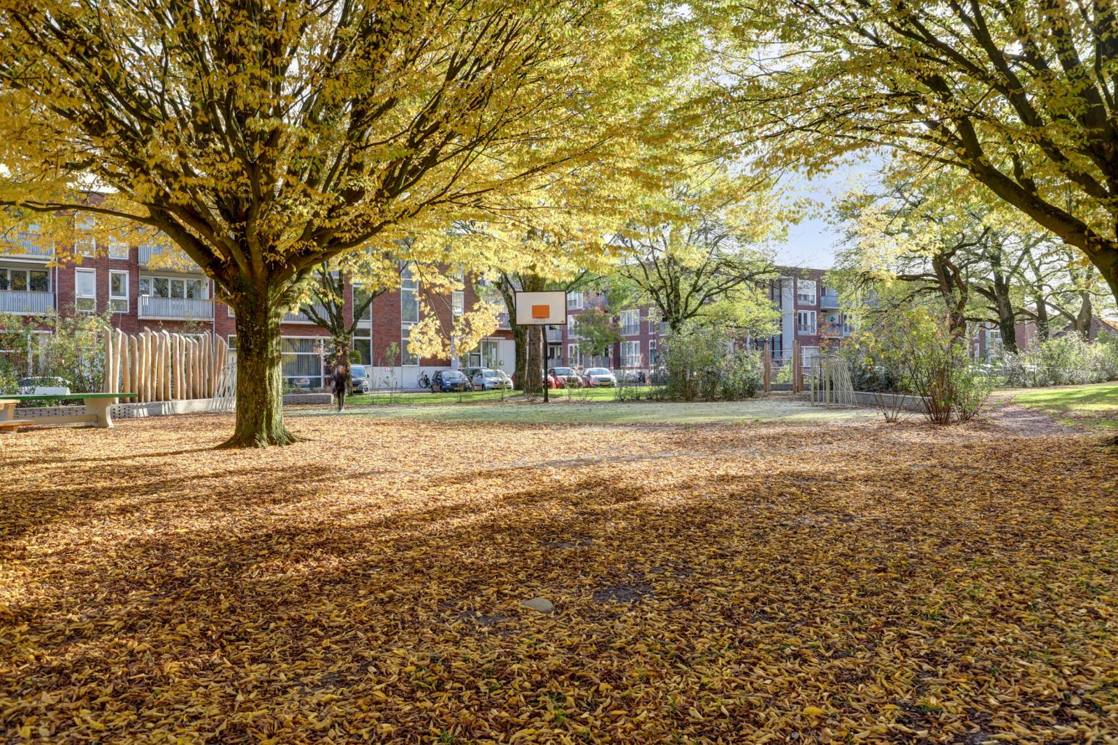 Dr. Slotemaker de Bruïnestraat 38