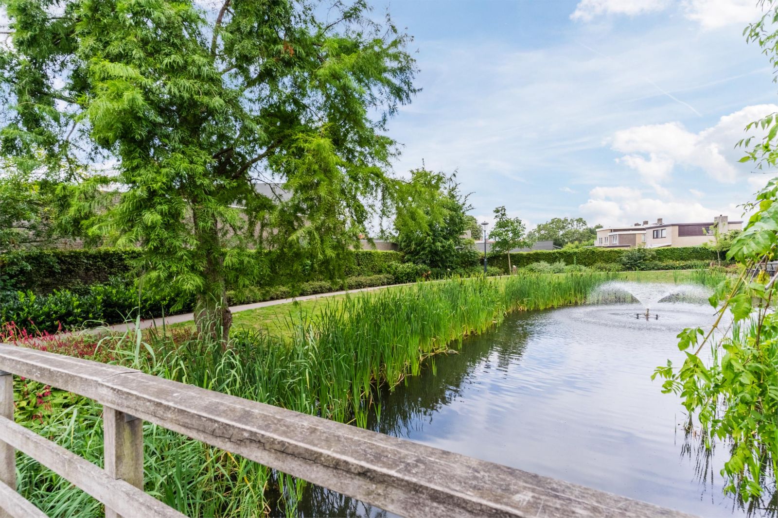 Michiel de Ruijterstraat 62