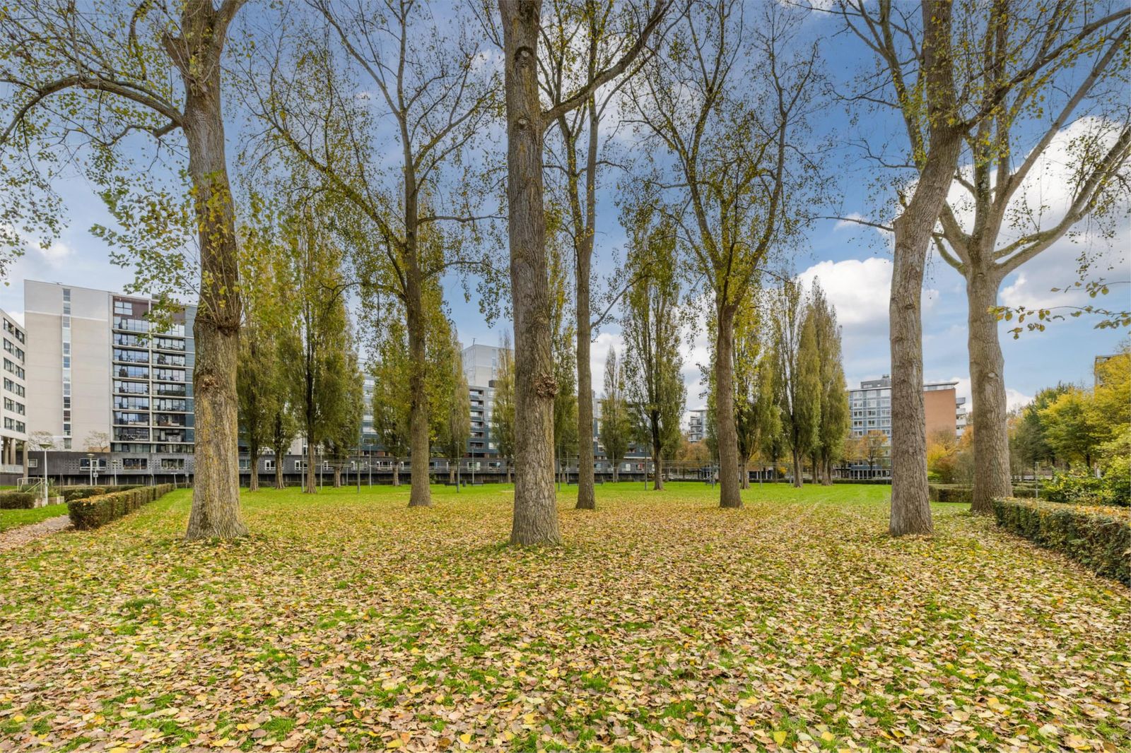 Wittgensteinlaan 307