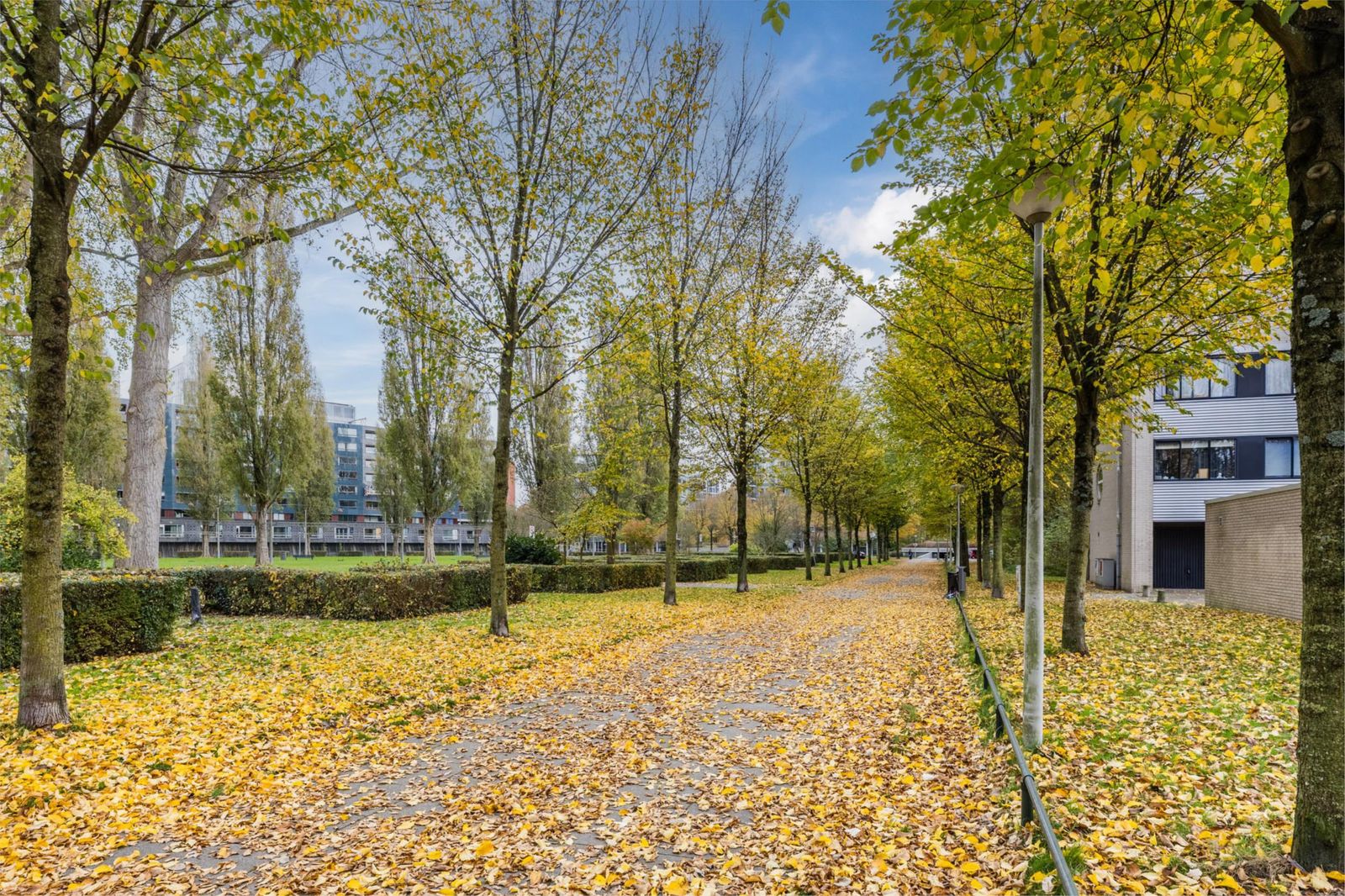 Wittgensteinlaan 307