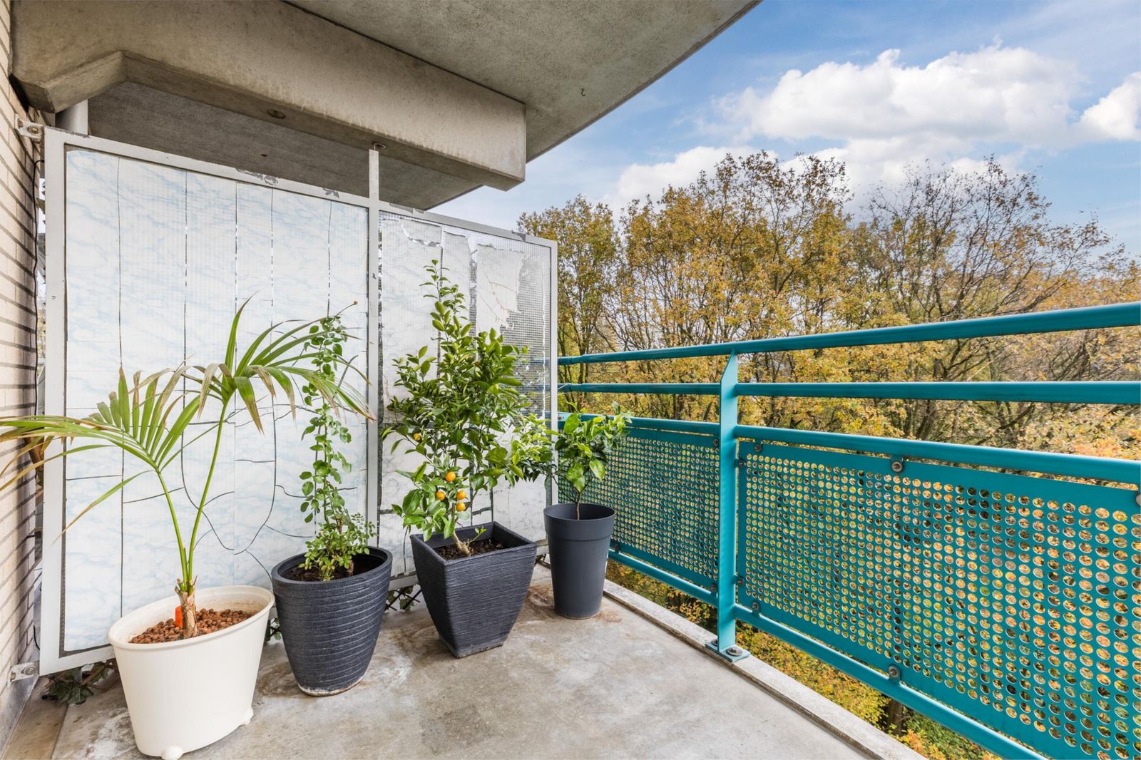 Wittgensteinlaan 307