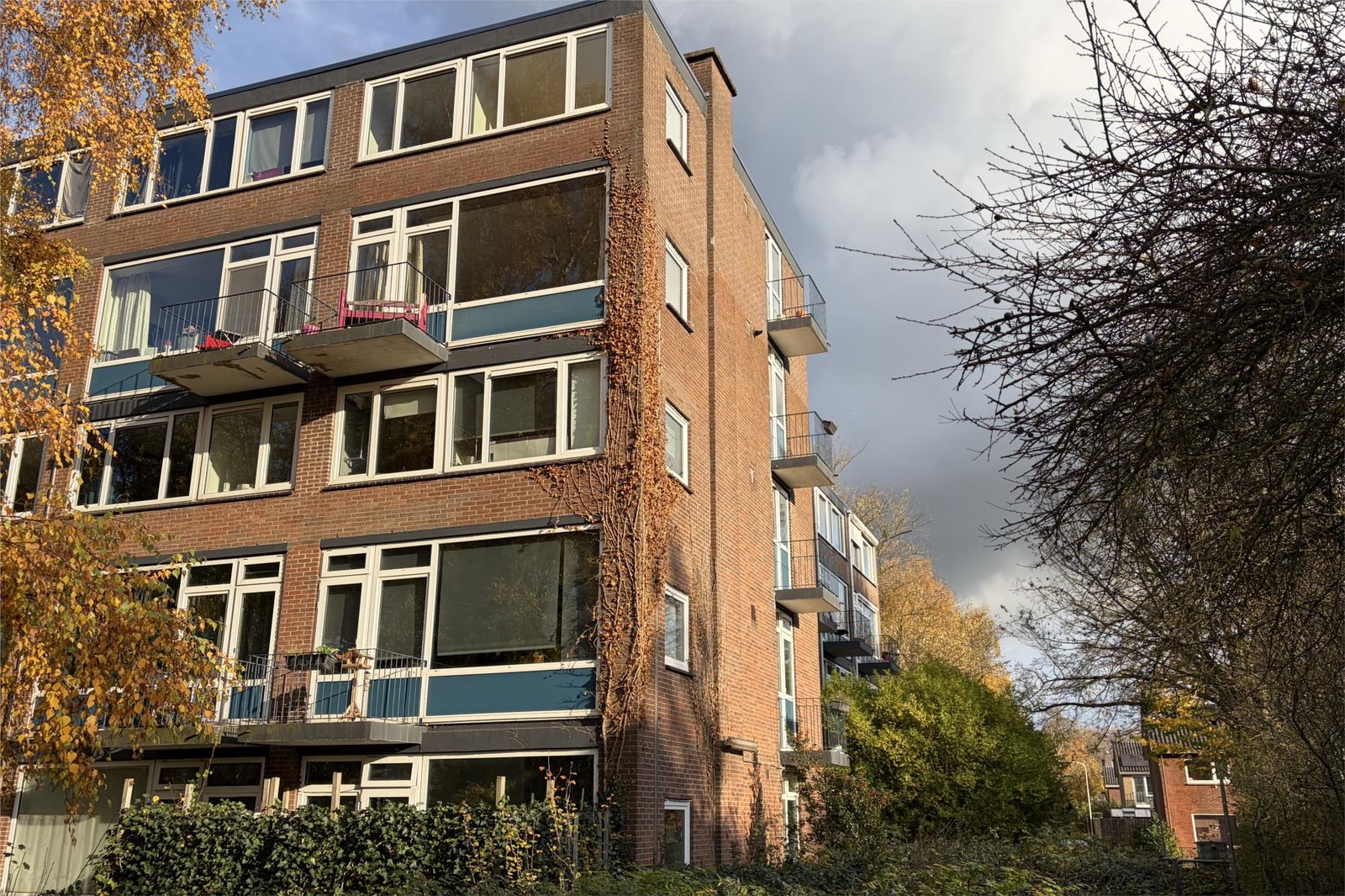 Van 't Hoffstraat 79