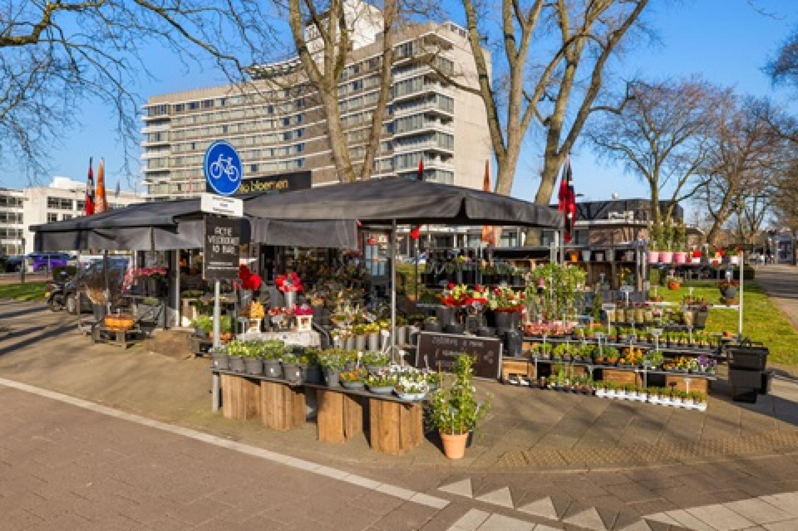 Beethovenstraat 50-3