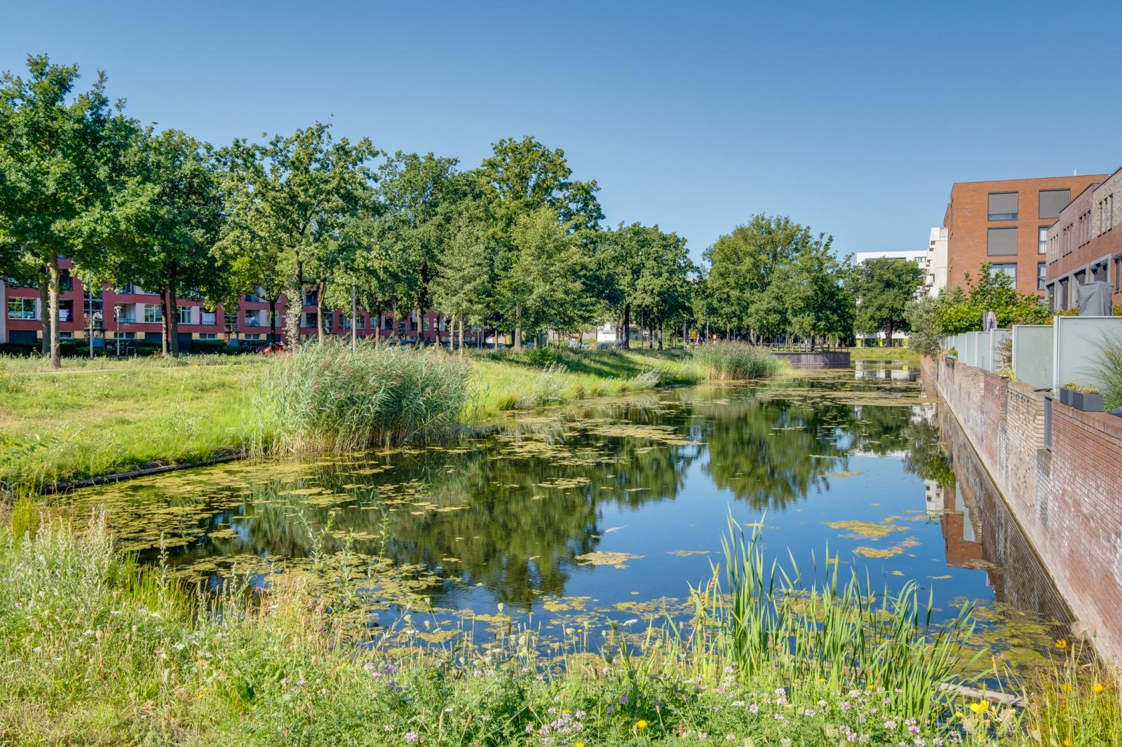 Rudolf van Diepholtstraat 206