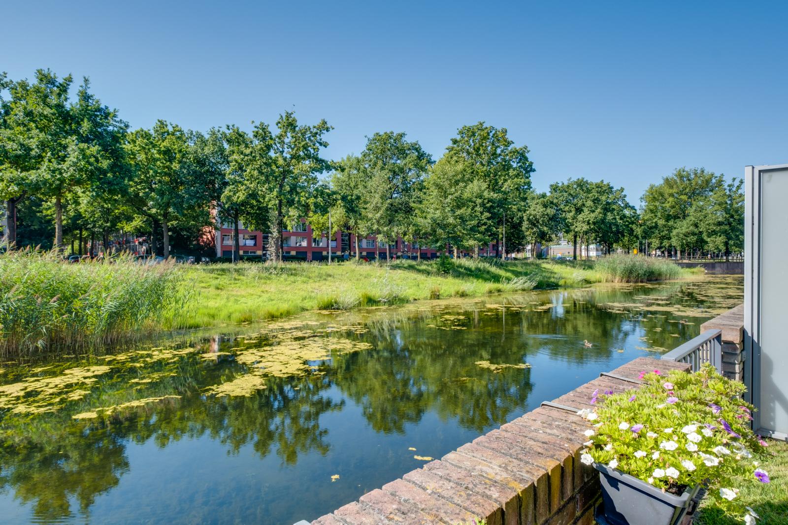 Rudolf van Diepholtstraat 206