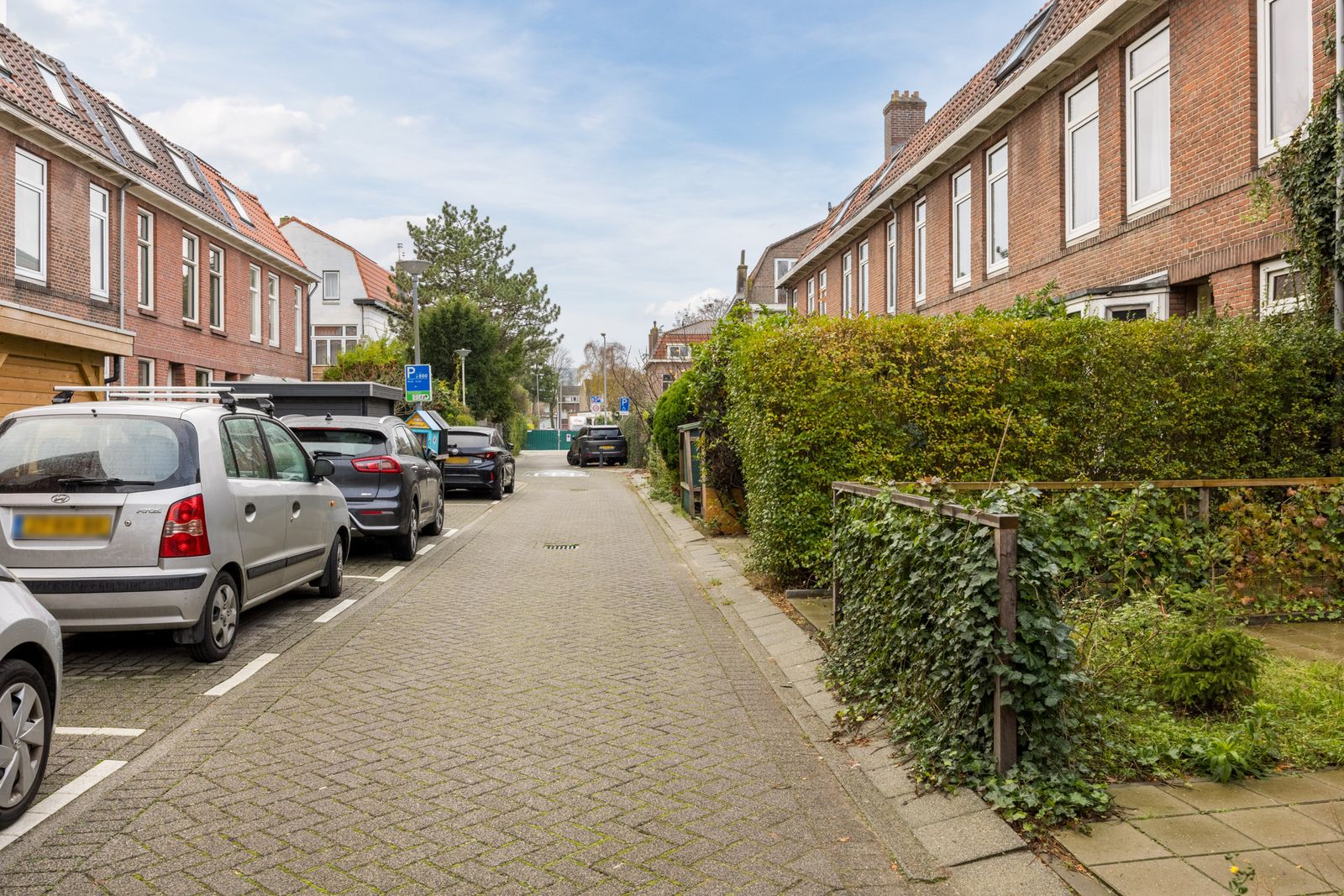 Graaf Adolf van Nassaustraat 24