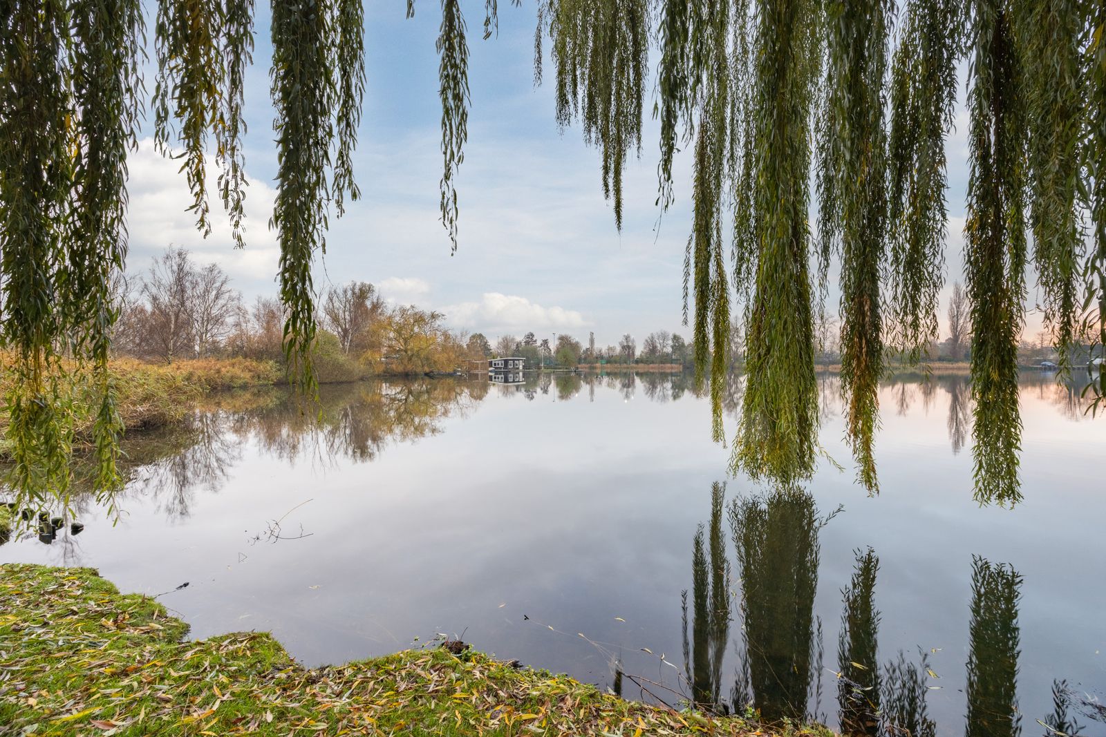 Graaf Adolf van Nassaustraat 24