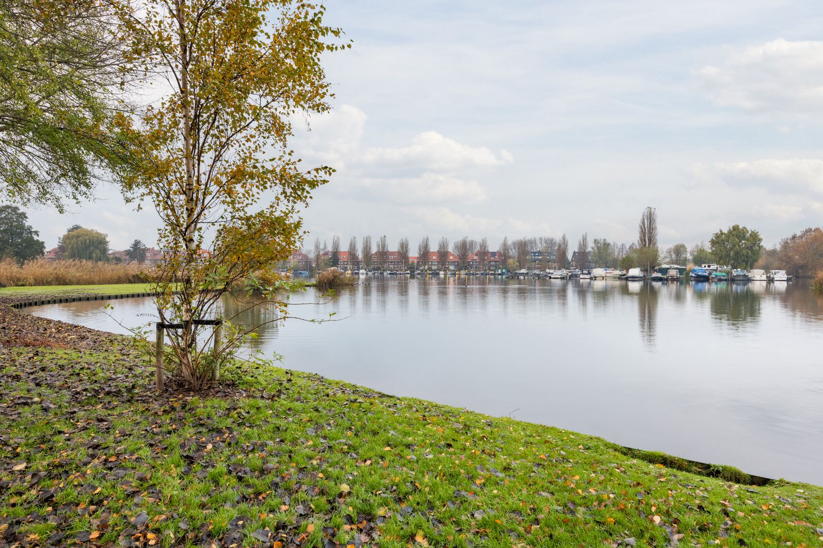 Graaf Adolf van Nassaustraat 24