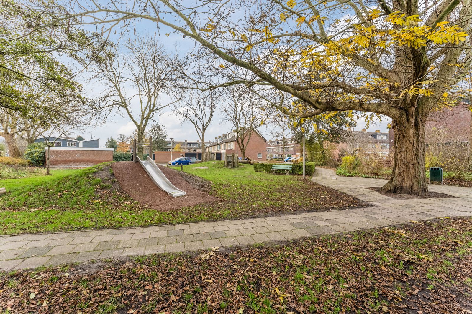 van Swietenstraat 41