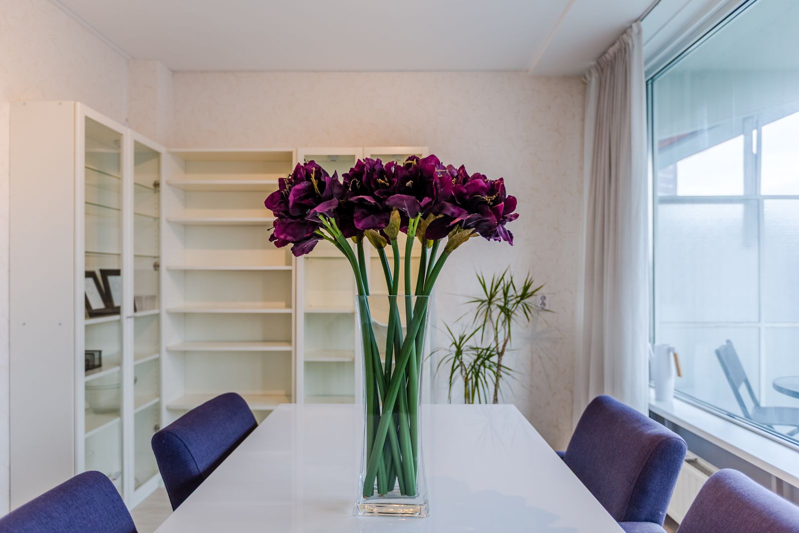 Mr. F.A. van Hallweg 80