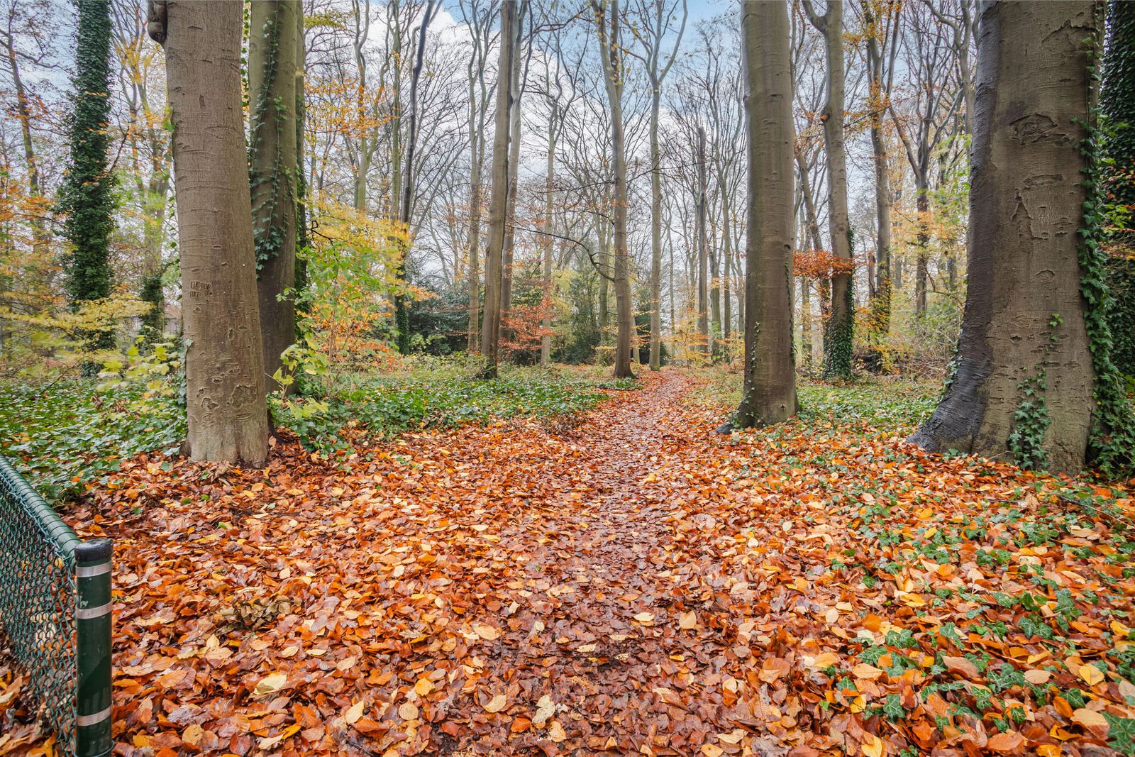 Generaal Van Heutszlaan 67