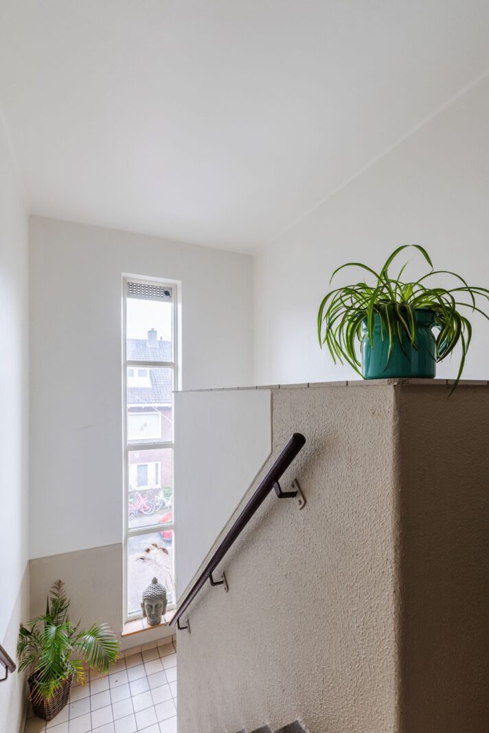 Kneppelhoutstraat 15BSA