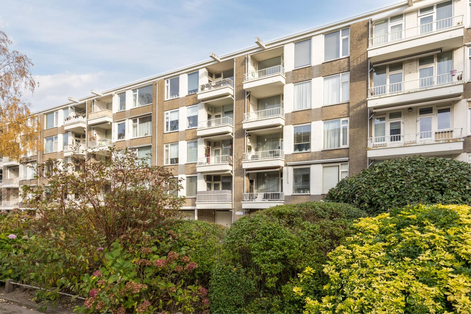 Aaltje Noordewierstraat 51