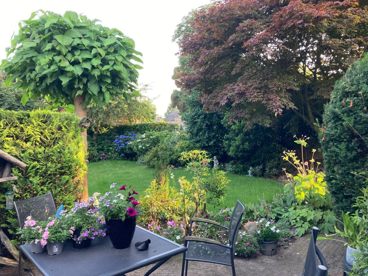 Schimmelpennincklaan 1