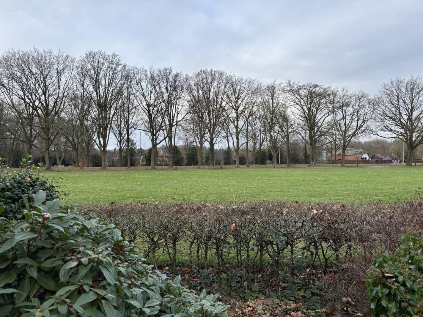 Schimmelpennincklaan 1