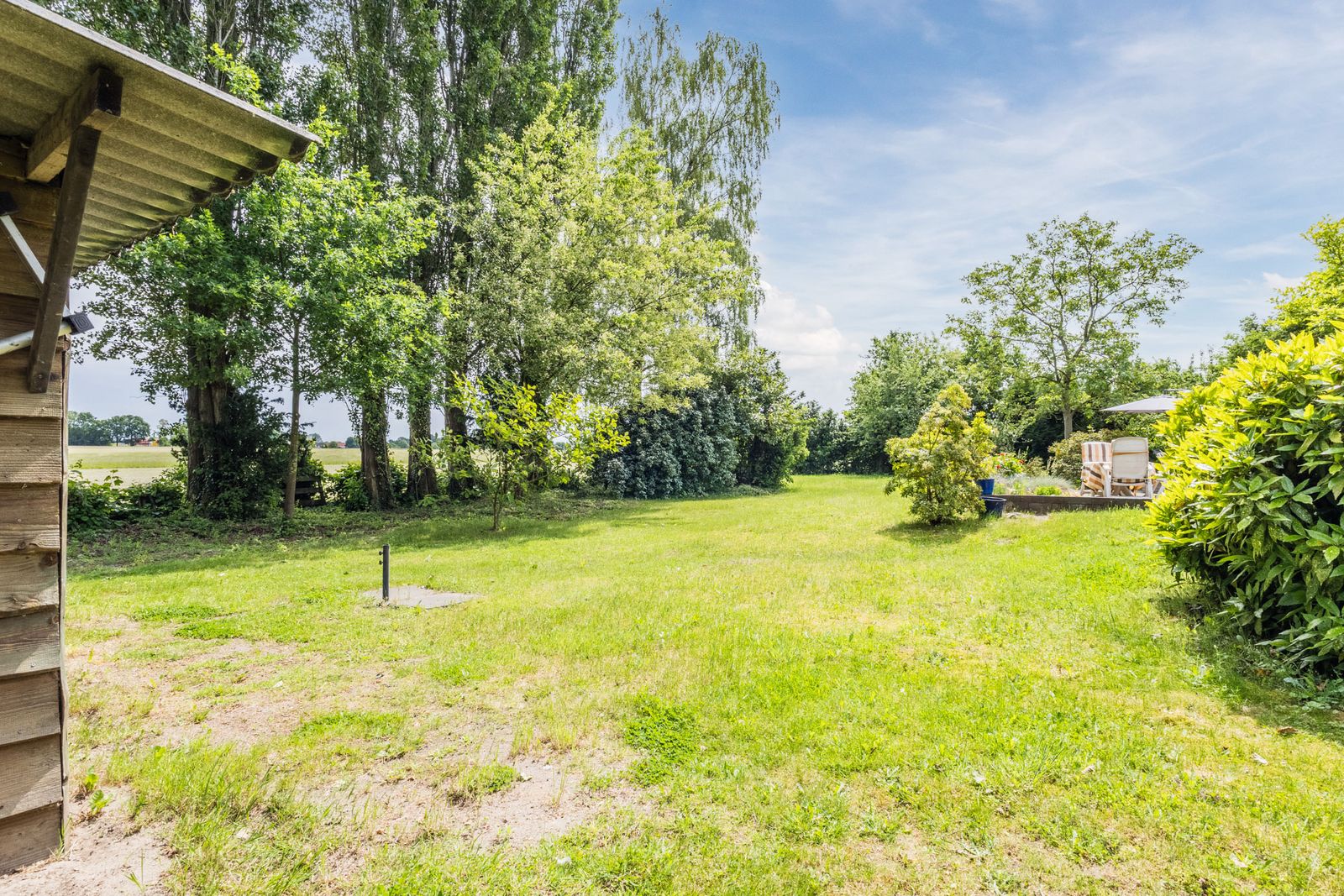 Korenveld 1