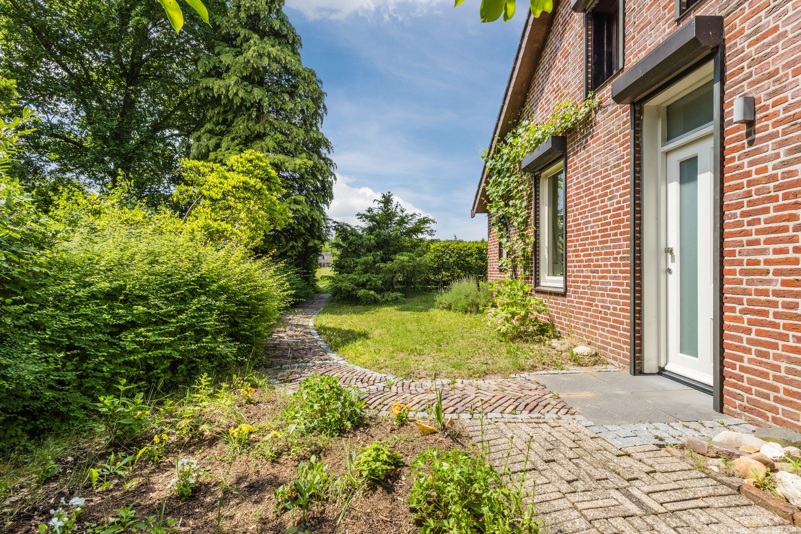 Korenveld 1