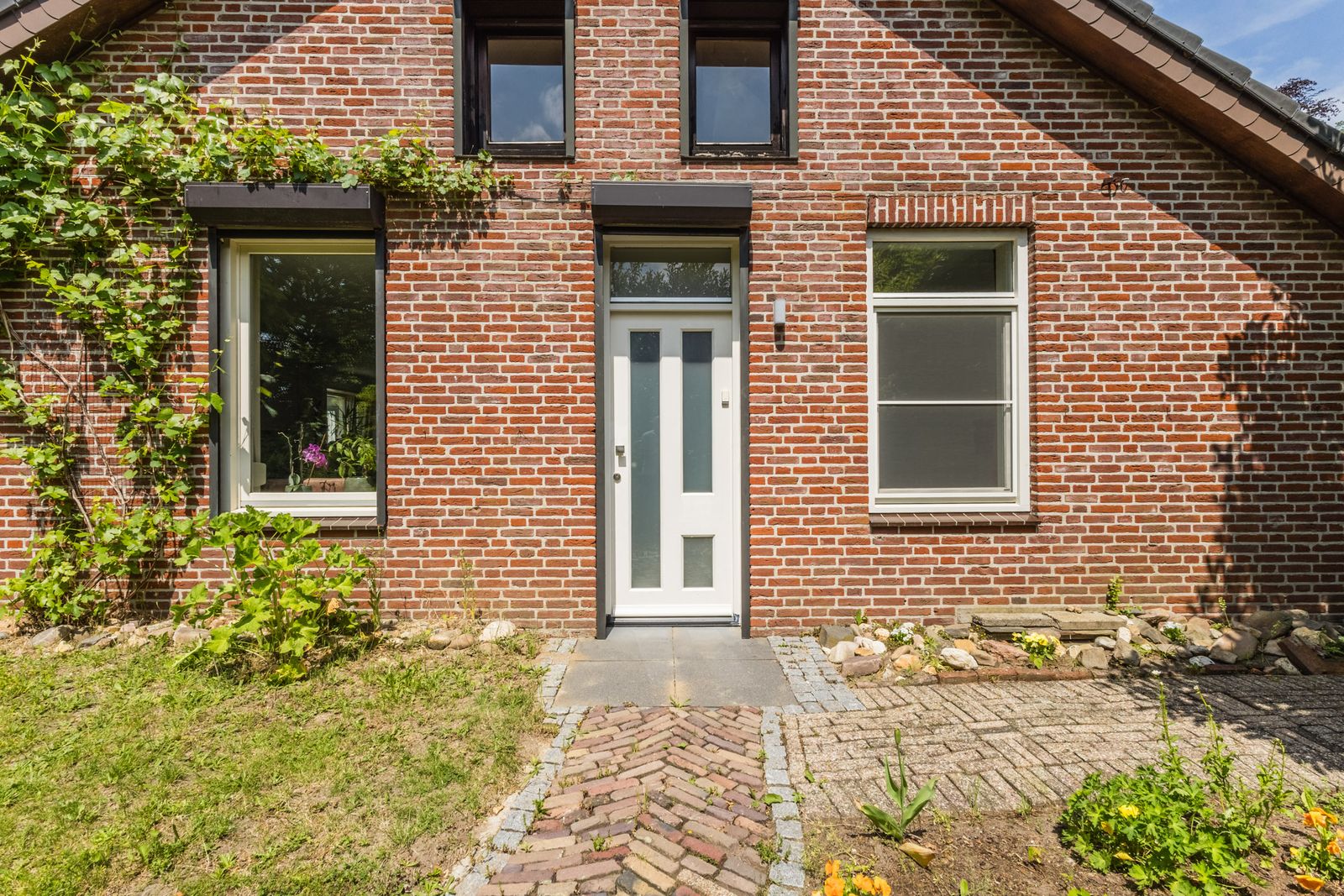 Korenveld 1