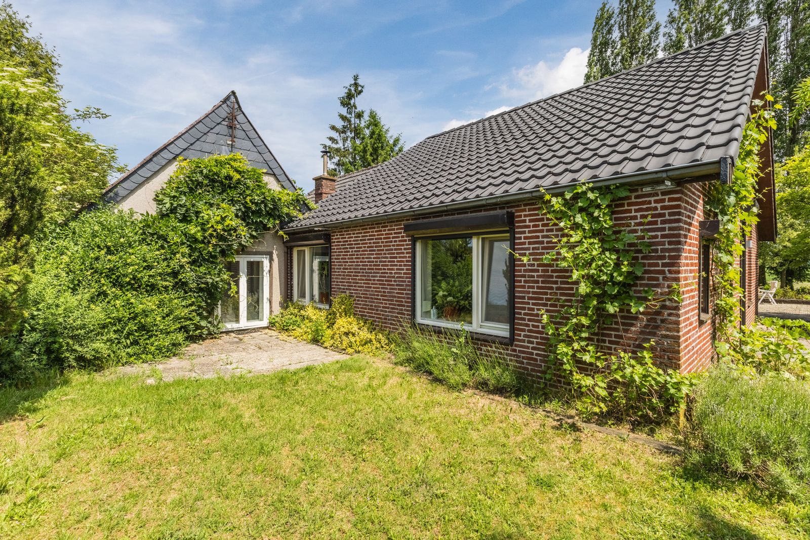 Korenveld 1