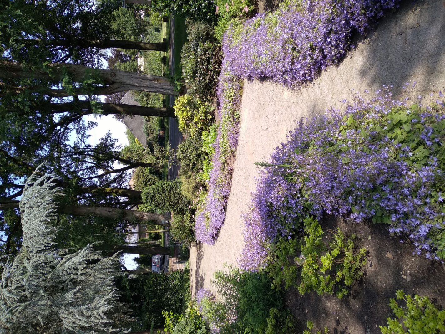 Kon Wilhelminaweg 24