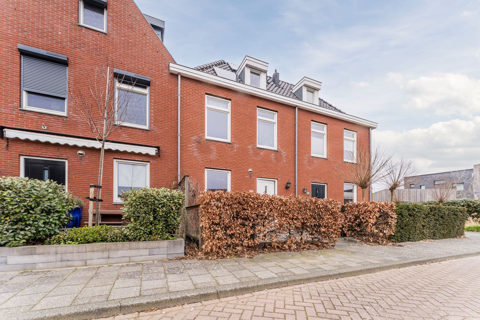 van Riemsdijklaan 123