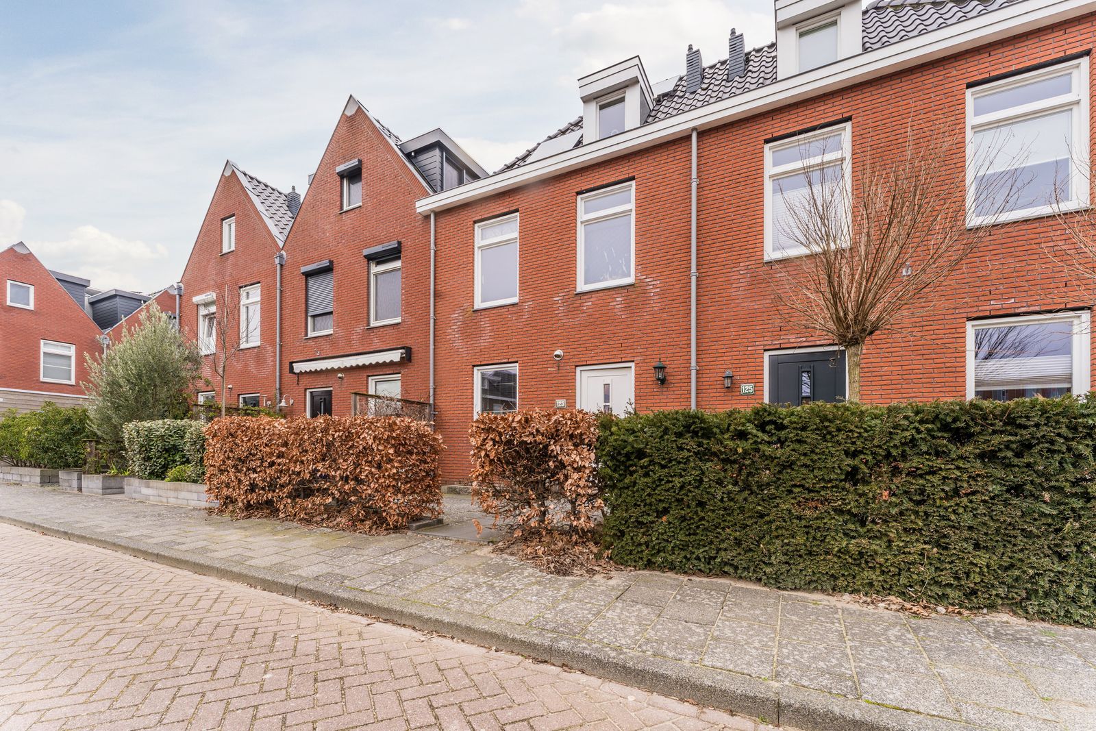 van Riemsdijklaan 123