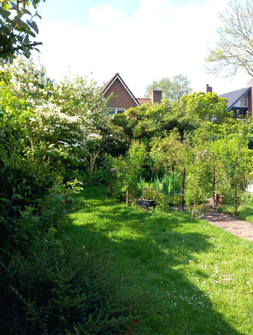 Huijbert van Schadijckln 35