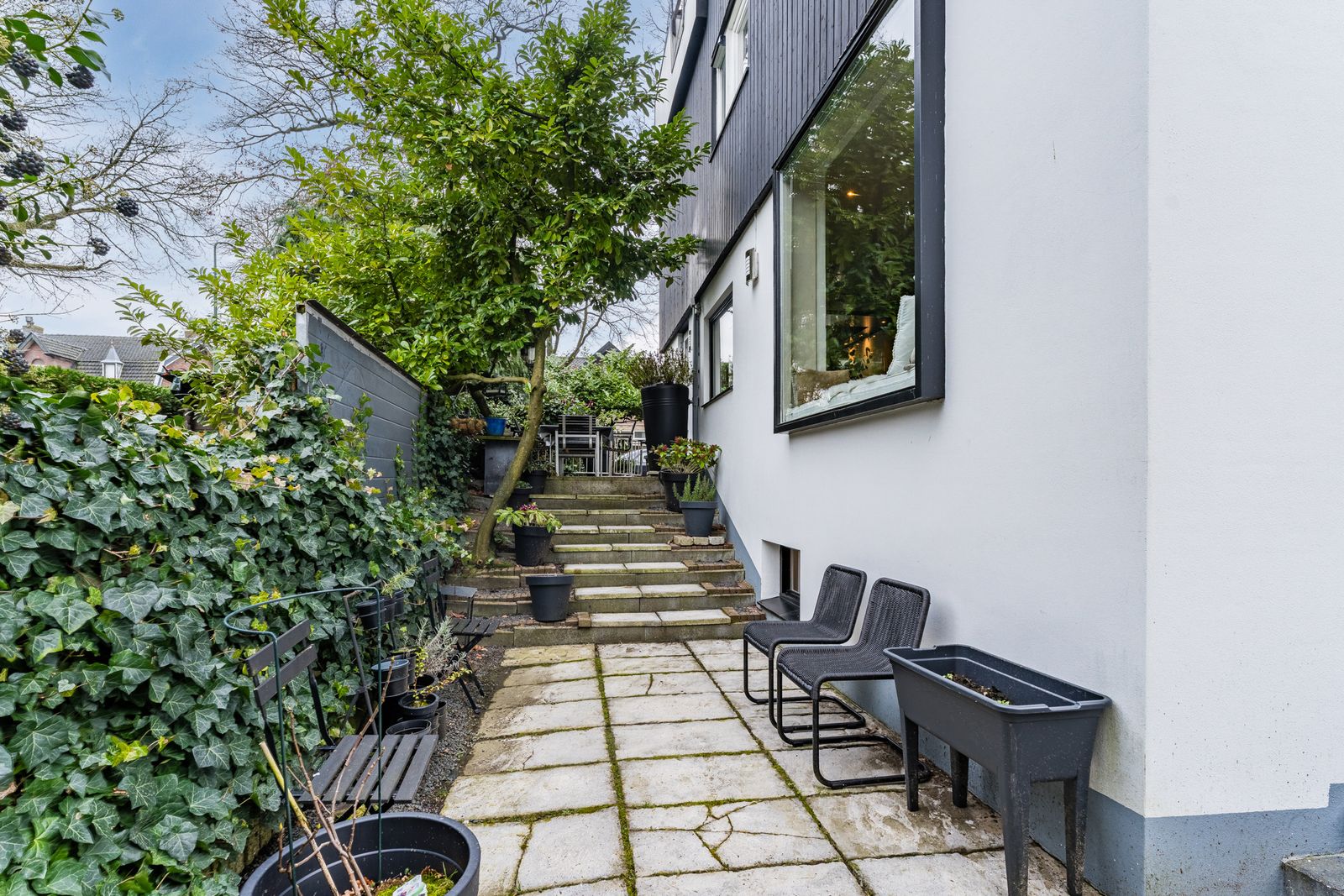Steenhoffstraat 49